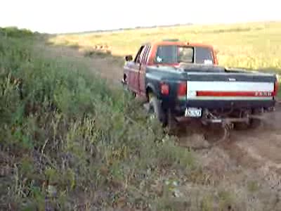 1982 Ford Bronco