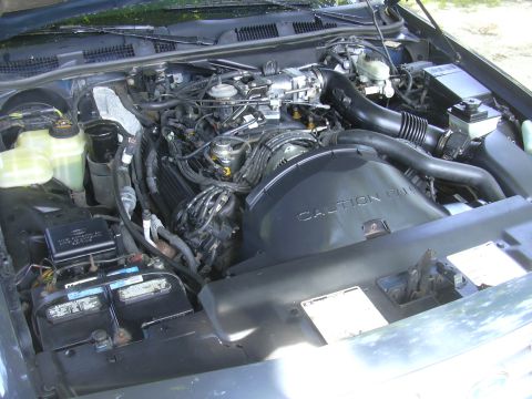 1996 Ford Crown Victoria - The engine bay of a 1996 Ford Crown Victoria shows its V8 engine, battery, and coolant reservoirs.