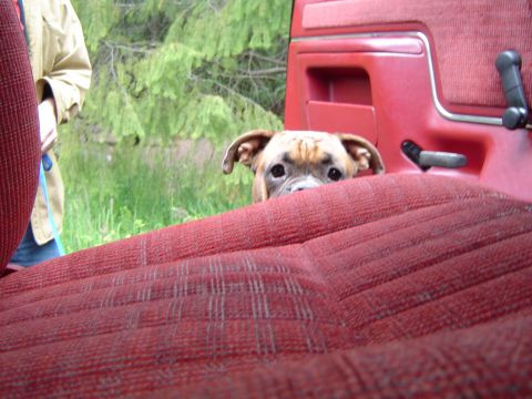 1989 Ford Bronco - Seat is too high.