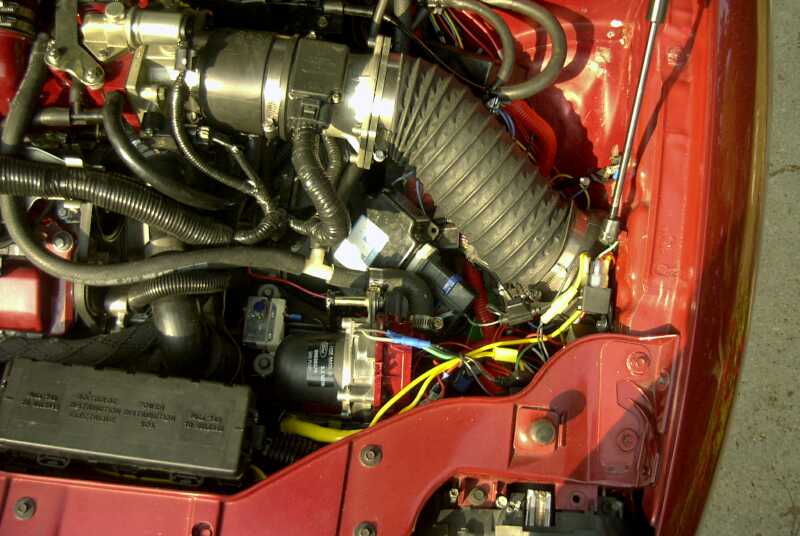 Engine bay with polished intake, black flex hose, and wiring on red vehicle