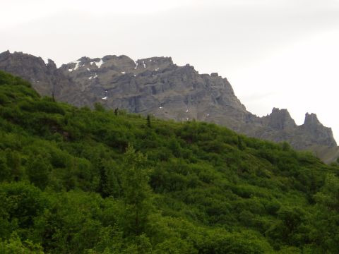 2000 Ford E350 - A scenic view of mountain peaks rising above a lush, tree-covered slope on an overcast day.