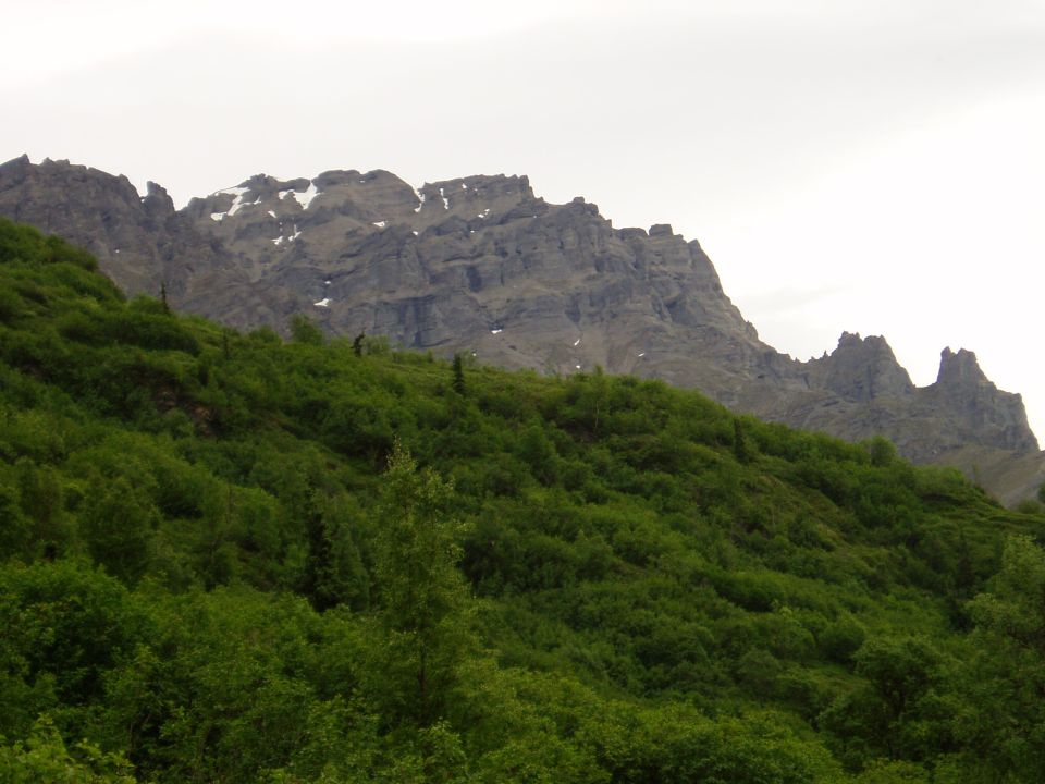 Mountain landscape with green trees and rocky peaks under a cloudy sky