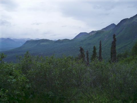 2000 Ford E350 - Scenic view of mountains and dense forest under an overcast sky.