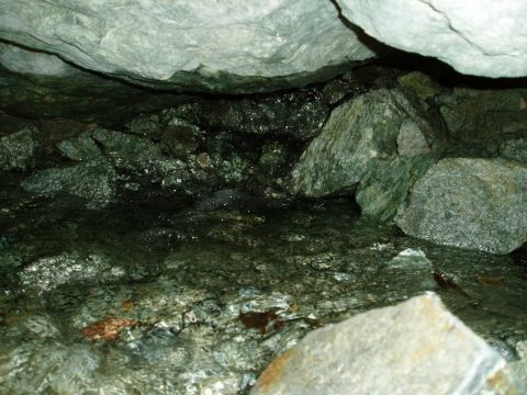 2000 Ford E350 - A close-up view of water moving over a rocky surface in a dimly lit area.