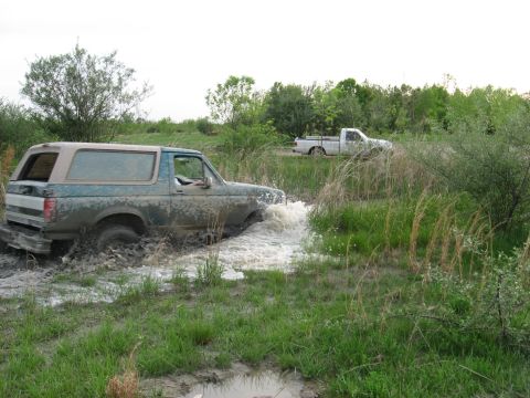 1996 Ford Bronco photo