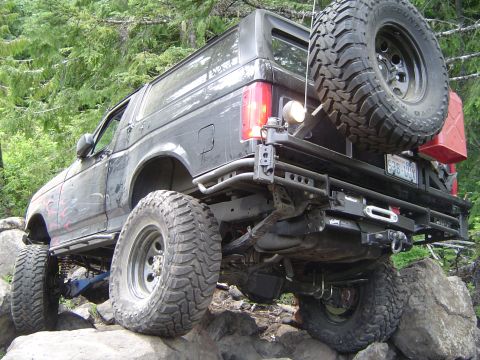 1989 Ford Bronco - Yes there is a tree mangling the passenger side in this pic