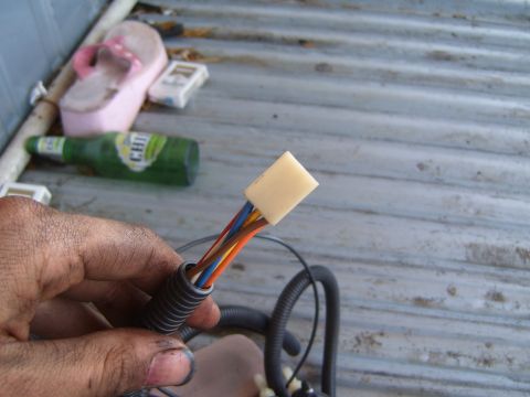 2001 Pontiac Trans Am - Close-up of a wiring harness connector with a beer bottle and flip-flop in the background.