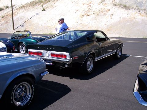 1972 Ford Ranchero - Rear view of a dark green Shelby Mustang with a roll cage visible inside.