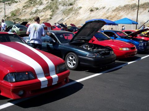 1972 Ford Ranchero - Several Ford Mustangs are parked in a line with hoods up at an outdoor event.