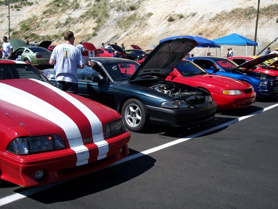 Red Ford Mustang with white racing stripes, front view