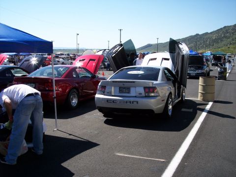 1972 Ford Ranchero - Silver 2001 Ford Mustang Cobra shows off its butterfly doors at an outdoor car show.