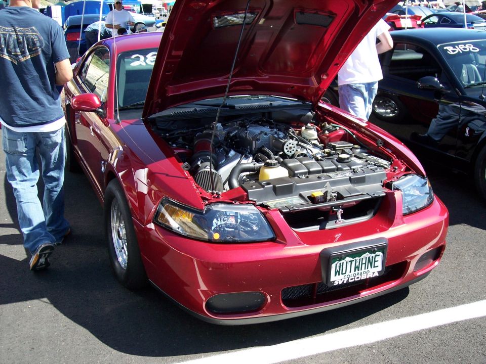 Red coupe with hood open, engine visible. License plate reads WUTHANE