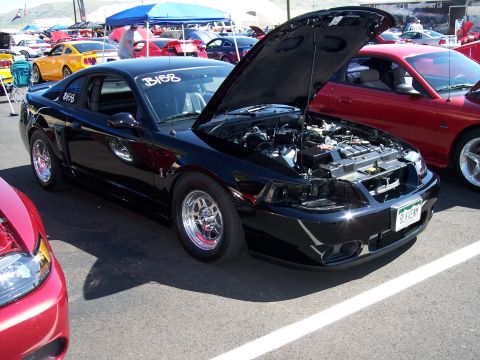 1972 Ford Ranchero - Black 1999 Ford Mustang at a car show with its hood up, revealing the engine bay.