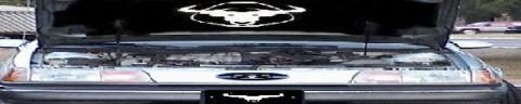 1991 Ford Taurus - The hood is open revealing the engine bay and a bull decal on the underside of the hood.