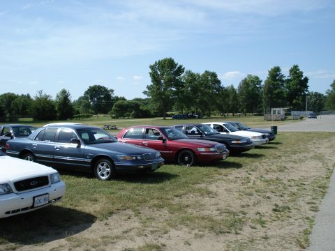2000 Ford Crown Victoria - Several Ford Crown Victorias are parked in a grassy lot under a clear blue sky.