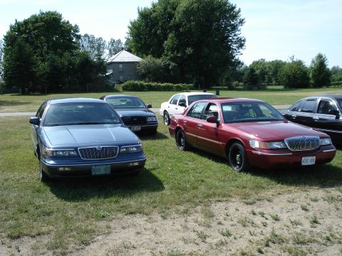2000 Ford Crown Victoria - Several sedans are parked on a grassy area with trees and a building in the background.