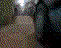 1991 Ford Taurus - Graphic indicates that the requested file could not be found.