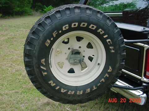 1979 Ford Bronco photo