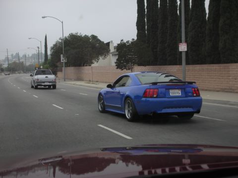 1998 Ford Crown Victoria - A blue Ford Mustang is seen from behind, driving on a road with a white pickup truck in front.
