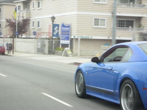 1998 Ford Crown Victoria - A blue coupe is seen from the side as it drives down a street, with buildings in the background.