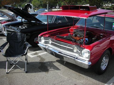 1998 Ford Crown Victoria - Two classic cars with hoods open at a car meet, one red and one black.