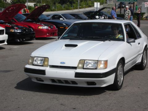 1998 Ford Crown Victoria - A white Ford Mustang is parked in a lot with several other cars, some with hoods open.