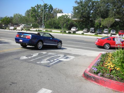 1998 Ford Crown Victoria - Two Mustangs, one blue convertible and one red coupe, are visible on a street with a stop sign marking.