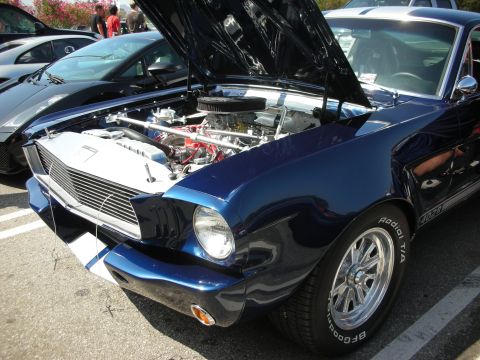 1998 Ford Crown Victoria - A blue 1967 Ford Mustang is displayed with its hood open, revealing the engine and racing stripes, parked next to other vehicles.