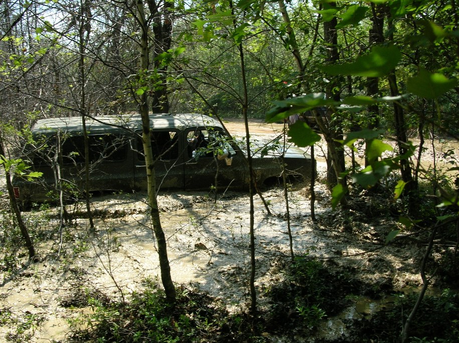 Muddy SUV stuck in a wooded area with trees and water