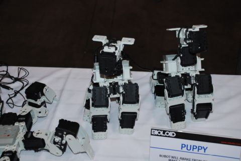 1996 Ford Bronco - BIOLOID robot puppies displayed on a table with various components and cables.