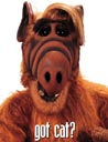 1989 Ford Bronco - This is a photo of the character ALF, with the text 'got cat?' visible.