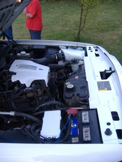 2003 Ford Crown Victoria - Engine bay of a 2003 Ford Crown Victoria, showing the engine and battery components.