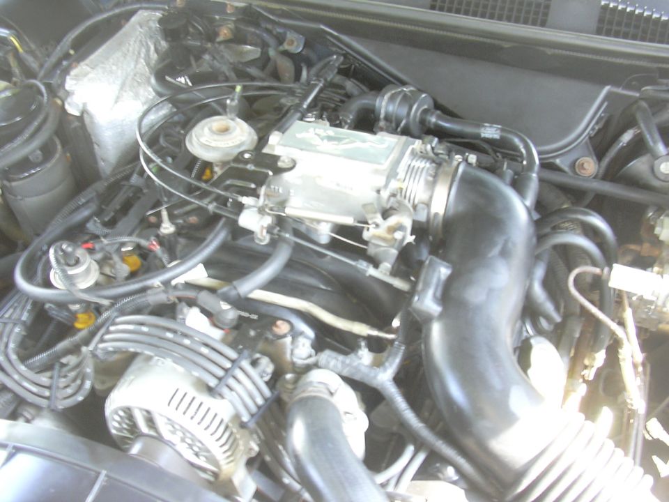 Engine bay with alternator, intake manifold, and various hoses visible