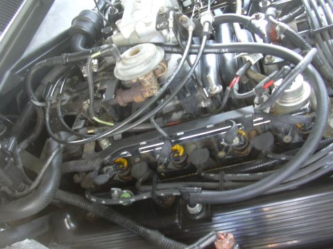 1996 Ford Crown Victoria - Close-up view of an engine bay, showing fuel injectors and various hoses and wiring.