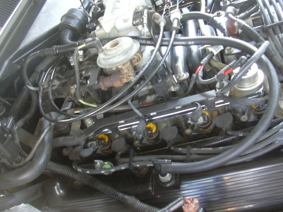 Engine bay with fuel injectors and wiring