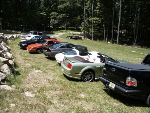 2001 Mercury Grand Marquis - A collection of Mustangs and a pickup truck are parked on a grassy area next to a wooded lot.