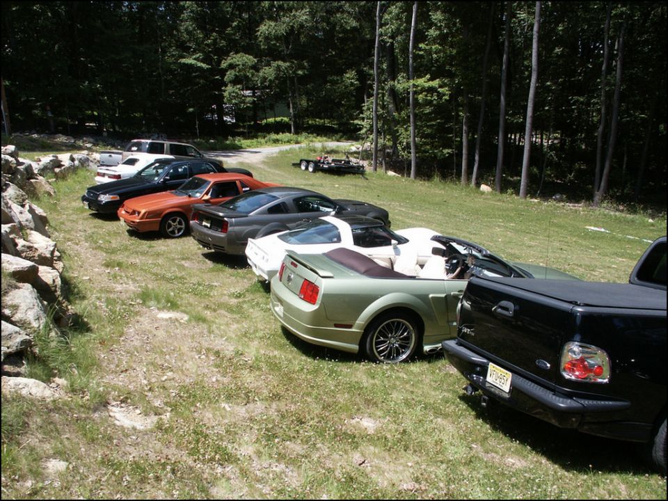 Several cars parked on grass, including a green convertible Mustang, a white coupe Mustang, a grey Mustang, an orange Mustang, and a black pickup truck