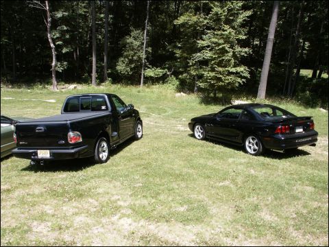 2001 Mercury Grand Marquis - Two black performance vehicles, a Ford F-150 Lightning and a Ford Mustang Cobra, are parked on a grassy area with a wooded background.