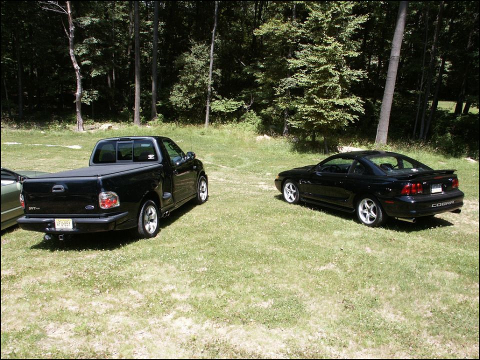 Black Ford F-150 Lightning pickup truck and a black Ford Mustang Cobra parked on grass with trees in background