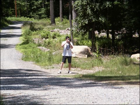 2001 Mercury Grand Marquis - A person stands on a gravel road, holding a camera and taking a picture of the surrounding woods.