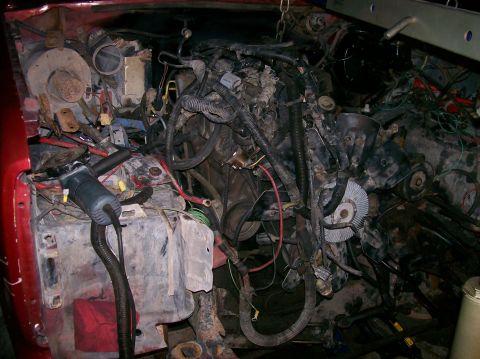 1982 Ford Bronco - The engine bay of a vehicle is shown with extensive wiring and engine parts, suggesting a complex mechanical system.
