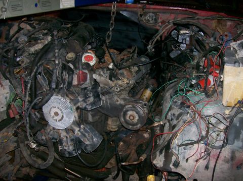 1982 Ford Bronco - The engine bay of a vehicle is shown with the engine partially disassembled and wiring exposed.