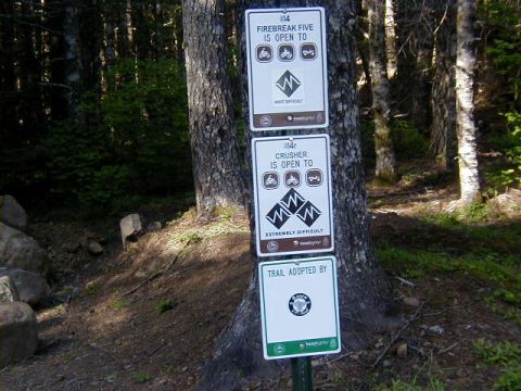 1994 Ford Explorer - Signs indicate trail conditions and adoption status in a wooded area.