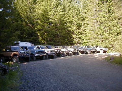 1994 Ford Explorer - Multiple trucks and SUVs are parked in a line on a gravel road, with a dense forest behind them.