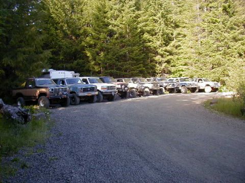 1994 Ford Explorer - Several Ford Broncos and trucks are parked in a line on a gravel road, with a dense forest in the background.