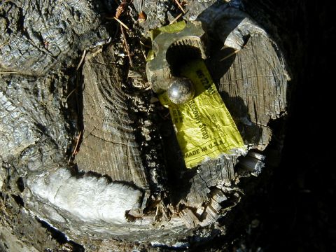 1994 Ford Explorer - A yellow recovery strap with a metal ball is attached to a weathered wooden surface, with visible text indicating its origin.