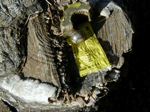 1994 Ford Explorer - A yellow recovery strap with a metal ring and ball bearing is attached to a tree stump.