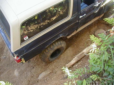 1994 Ford Explorer - A black and tan Ford Bronco navigates a challenging off-road path with a tire stuck in a rut.
