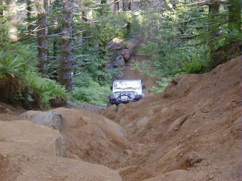 1994 Ford Explorer - Jeep Wrangler tackling a challenging off-road trail through a wooded area.