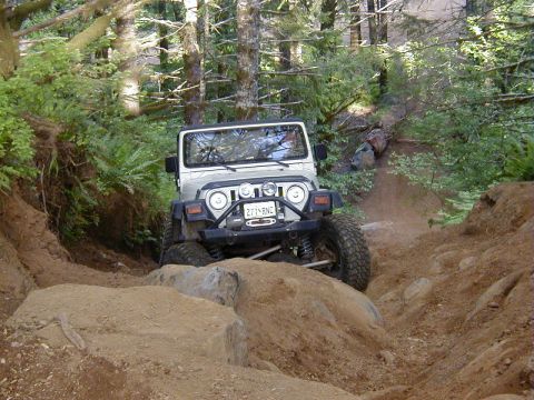 1994 Ford Explorer - A Jeep Wrangler navigates a challenging off-road trail through a wooded area.
